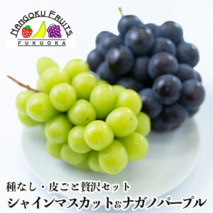 ґ򕒓Zbg@( iKmp[v VC}XJbg j e1[