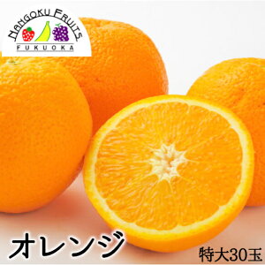 【送料無料】オーストラリア産 オレンジ 特大 30玉