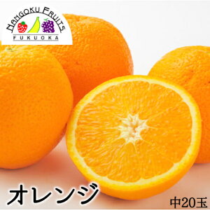 【送料無料】オーストラリア産 オレンジ 中 20玉