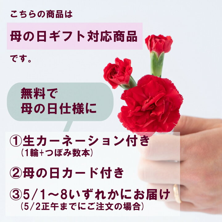 Angelheart エンジェルハート ブラシスティック マルチマジック