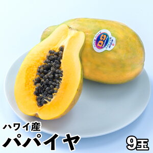 �y���������z�n���C�Y �p�p�C��