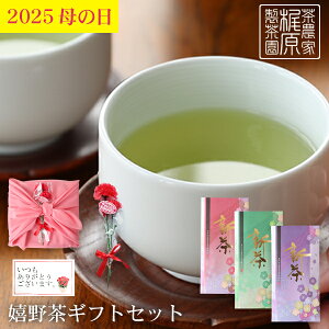 y2025N ̓Mtgz쒃i100g×3j̓Mtg ̓v[g 쒃Mtg  Ε N ꌧ 쉷