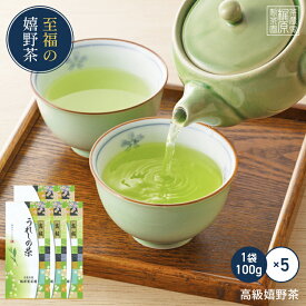 【業務用】【高級嬉野茶(100g×5本)】すぐ飲める！何煎も飲める日本茶！お茶 ドリンク ポイント消化 送料無 食品 食品・フード ギフト 飲み物 詰め合わせ