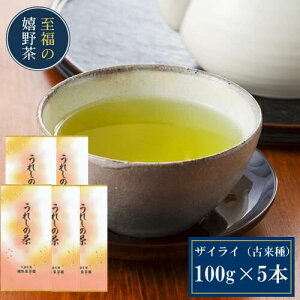 쒃 炢i100g×5jy2025Vz { Β  t ʗΒ 蒃 B ꂵ̒  hN |Cg  Hi HiEt[h Mtg ݕ lߍ킹