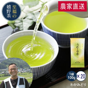 _ƒ Ɩp 쒃 킩݂ǂi100g×20{j̉ ɏo邨I߂{I͋ΒIB ꌧY