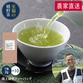 嬉野茶 極上緑茶ティーバッグ(2g×10包)4月摘上級茶葉使用 お茶 ティーパック ティーバッグ 緑茶 日本茶 お茶 ティーパック ドリンク ポイント消化 送料無 食品 食品・フード ギフト 飲み物 詰め合わせ