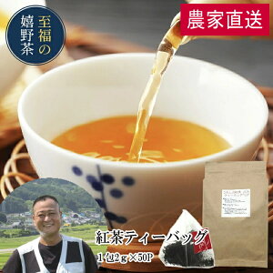 _ƒ 3Nn geB[obOi2g×50j { ag t Yg ꂵ̍g B ꌧY Ɩp  eB[pbN hN |Cg  Hi HiEt[