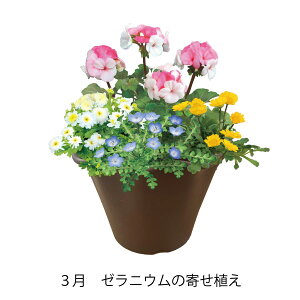 y{珇͂zԂ̂炵 Cibv G߂̊񂹐A Iׂt[Mtg 