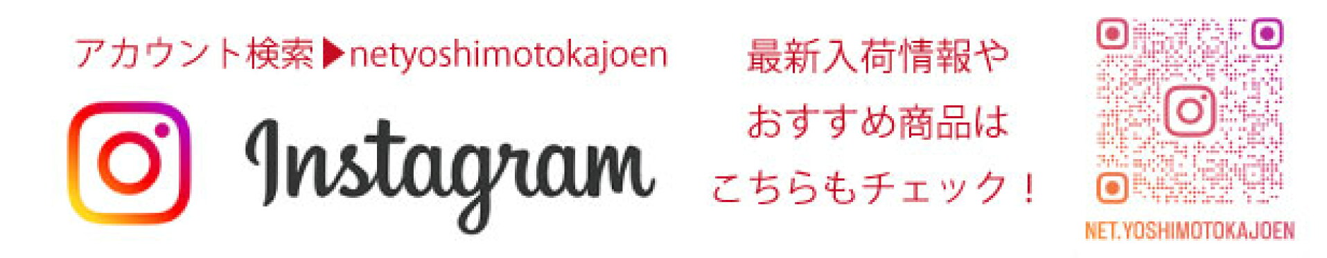 インスタバナー