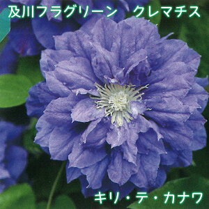 ytO[ N}`X@LEeEJi y2025NHׁz peXdn 炫֌n 4.5 鐫 tFX A[` IxXN