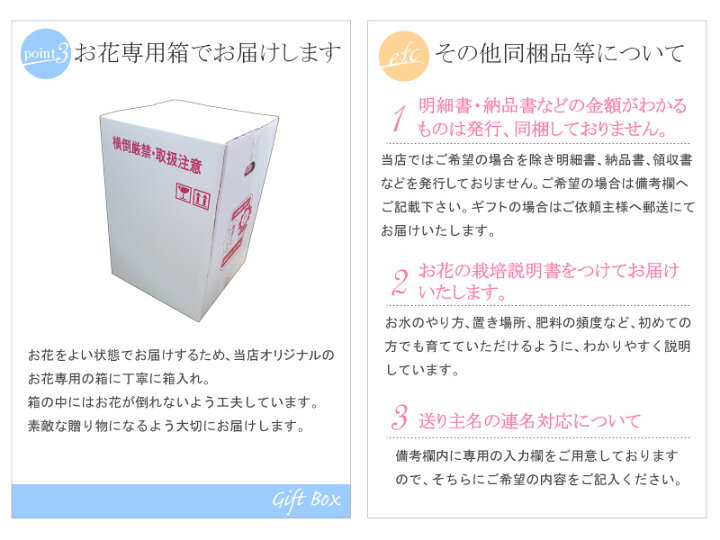 楽天市場】花 ギフト 誕生日 プレゼント 記念日 季節の鉢植え 梅盆栽 5 