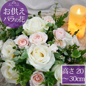  AWg No.20  og܂  ~  @  ފ 䋟   iK[f