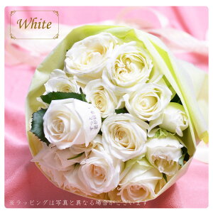 ԂтɃbZ[W _ѐYb܎ ỏԑ bZ[W[Y av[g  KN  Mtg v[g  w j \ LO v|[Y TvCY ޏ 