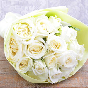 F̃ỏԑ  zCg o  Mtg v[g a  w j \ LO v|[Y TvCY ޏ   iK[f