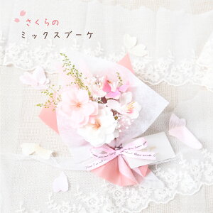 tI  ̃~bNXu[P \[vt[ v`Mtg  w Mtg v[g jɂ ~j u[P 