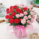 【早割】母の日 カーネーション プレゼント 花 ギフト 鉢植え 大きなカーネーション鉢植えギフト 2色咲き6号鉢サイズ