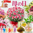 【年間ランキング1位の花】 母の日 プレゼント カーネーション 鉢植え ギフト 選べる10種の花色 赤 ピンク オレンジ …