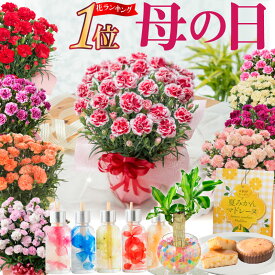 楽天市場 母の日 北海道 送料無料 花 鉢花 花 観葉植物 花 ガーデン Diyの通販