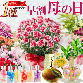 楽天市場 花 観葉植物 人気ランキング1位 売れ筋商品