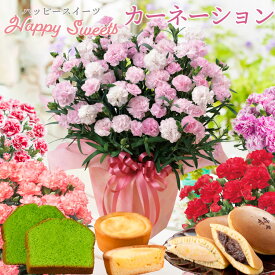 まだ間に合う 母の日 カーネーション ハッピースイーツ ギフトセット 選べるお花と選べるお菓子のプレゼント 吉本花城園