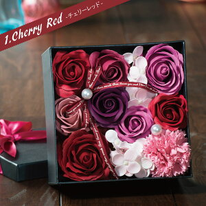 ȑ v[g o \[vt[ yXNGAz{bNXt[ Mtg J[l[V  AWg Ό   CeA g{ԏ鉀 bsO