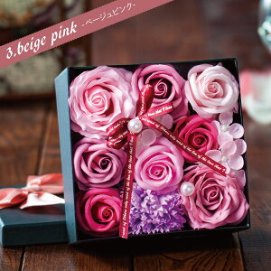 ȑ v[g o \[vt[ yXNGAz{bNXt[ Mtg J[l[V  AWg Ό   CeA g{ԏ鉀 bsO