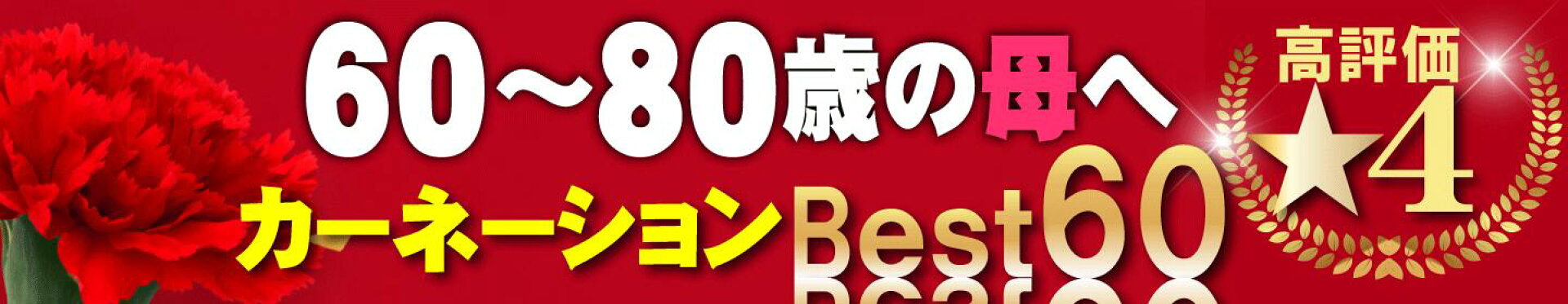 母の日  早割 ワンランク上の高評価のカーネーション