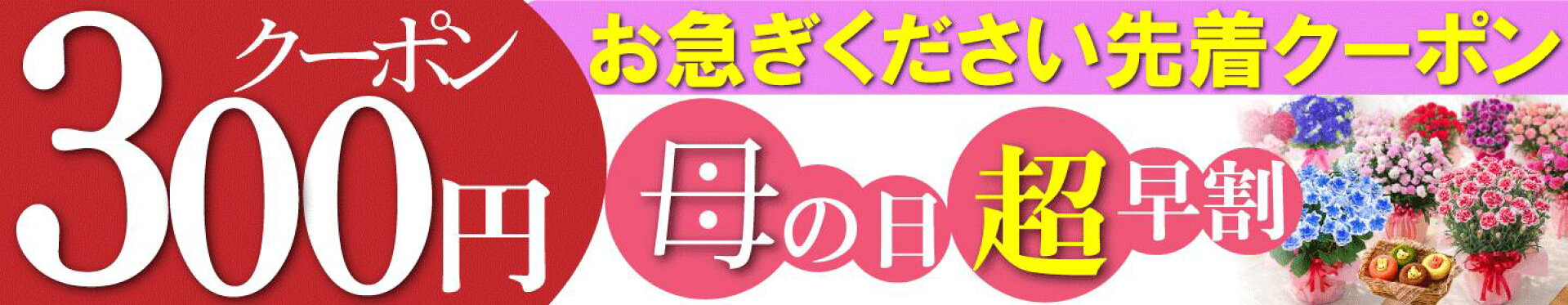 母の日ギフトカーネーション販売
