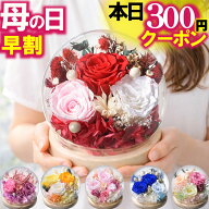 ＼本日先着300円クーポン／ 母の日 早割中 プレゼント プリザーブドフラワー バラ ガラスドーム ギフト 2…