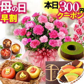 ＼本日先着300円クーポン／ 母の日 早割中 プレゼント 花 スイーツ カーネーション ギフト 鉢植え 5号 銀座千疋屋バウムクーヘンも選べる セット お花とお菓子 和菓子 洋菓子 FleurTown吉本花城園