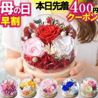 ＼本日先着400円クーポン／ 母の日 早割中 プレゼント プリザーブドフラワー バラ ガラスドーム ギフト 2…