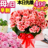 母の日 ＼本日先着400円OFFクーポン／ 早割中 2026 花 ギフト プレゼント 鉢植え リーガースベゴニア 花…