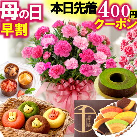 ＼まもなく終了400円クーポン／ 母の日 早割中 プレゼント 花 スイーツ カーネーション ギフト 鉢植え 5号 銀座千疋屋バウムクーヘンも選べる セット お花とお菓子 和菓子 洋菓子 FleurTown吉本花城園