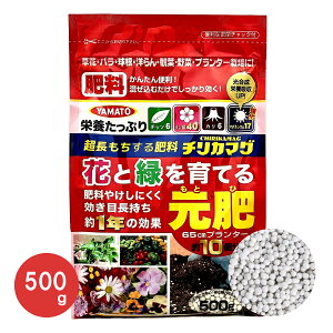 ԂƗ΂Ă  Ɍ엿  o  m ϗt ؃v^[͔|ɁI 500g