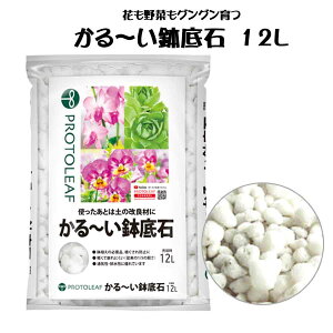 ` 12bg vg[t 4535885006121