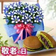 【P5倍エントリーで】 敬老の日 ギフト リンドウ心美白寿 4.5号鉢植え 抹茶どら焼きセット 一部地域 送料…