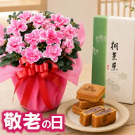 【P5倍エントリーで】 敬老の日 ギフト アザレア 5号 鉢植え 広島銘菓 和菓子 桐葉菓 セット 送料無料 花…