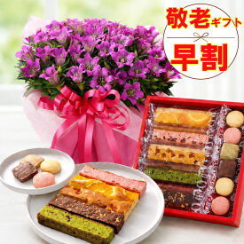 【P5倍エントリーで】 早割 敬老の日 ギフト リンドウ ピンク系 心美舞 4.5号鉢植え ひととえキュートセレクション焼き菓子 セット 送料無料 花 スイーツ 祖母 祖父 プレゼント 孫から 吉本花城園