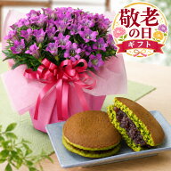 【P5倍エントリーで】 敬老の日 ギフト リンドウ ピンク系 心美舞 4.5号鉢植え 抹茶どら焼きセット 一部…