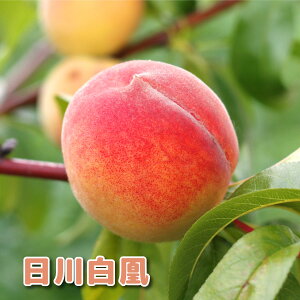 ʎ  c 씒 4|bg ږؕc ʎc c tʎc  