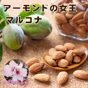 A[h c y}Riz4|bg ږؕc ڂ ʎc tʎc