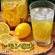 スイートレモネード レモン 苗木 1年生 接木苗 接ぎ木 果樹苗 柑橘 柑橘苗木 果樹 植木 庭木