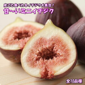 炲ƐHׂ ~jC`WN S10i c 9cm|bg  {ŎȂ܂ tʎ t[c ƒ؉ JtHjAubN uE^[L[ A[`x ZXg zCg