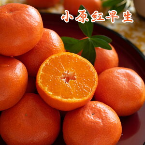 y\i 11{菇z ʎ ݂ c g 4|bg ږؕc ڂ ʎc ~J k kc ʎ A 