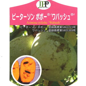 s[^[\ ||[ c ږؕc ڂ 5 ʎc tʎc AQ[j[ AOwj[ TXPni |g}bN EHobV obV VFih[