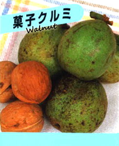 َqN~  N~ c 4|bgc ʎc tʎc