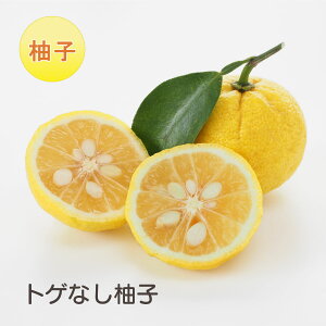 ʎ Mq c gQȂ䂸 ngQȂ ږؕc ڂ ʎc k kc ʎ A 