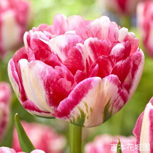 HA `[bv }V}  5 ty݁IHA̋