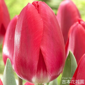 HA `[bv `F[fCg  5 ty݁IHA̋