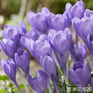 HA NbJX g}VjAkX n~Oo[h  5 ty݁IHA̋